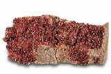 Glittering, Ruby Red Vanadinite Crystals on Barite - Morocco #278232-1